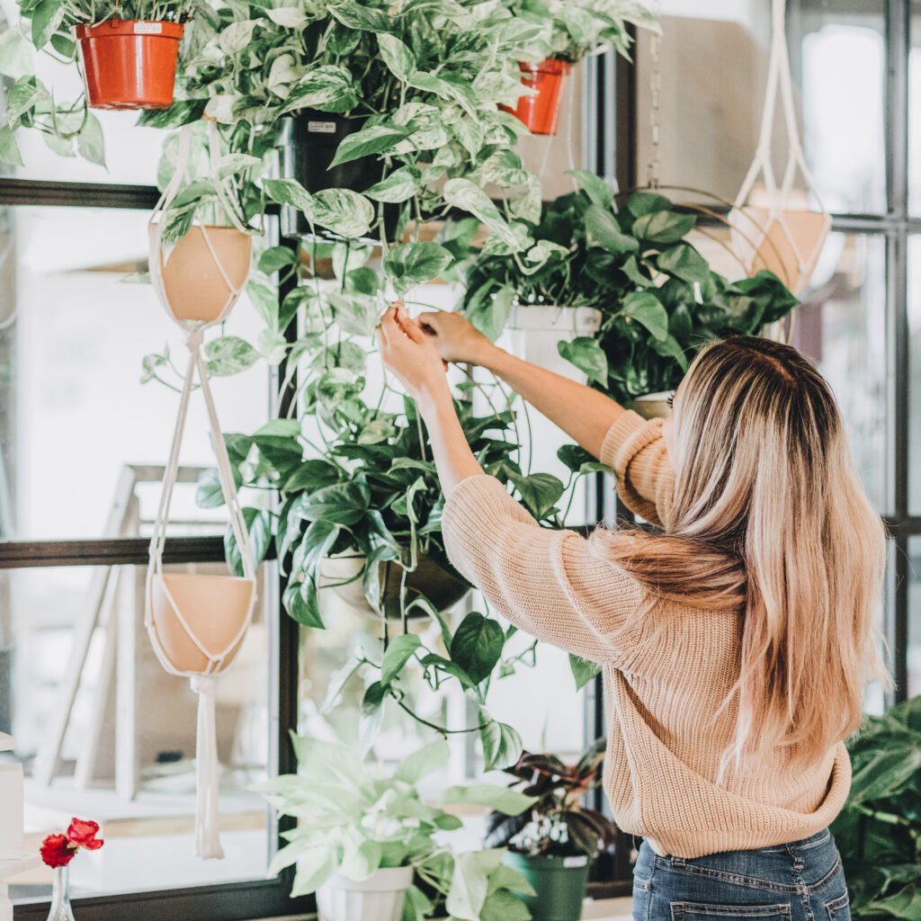 Lea & Fig House Plants Shop Indoor Plants